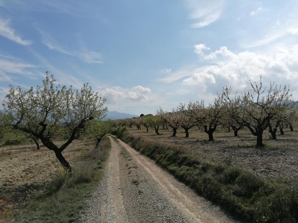 Ucenda Habitaciones En Finca Olivo Y Almendro المظهر الخارجي الصورة