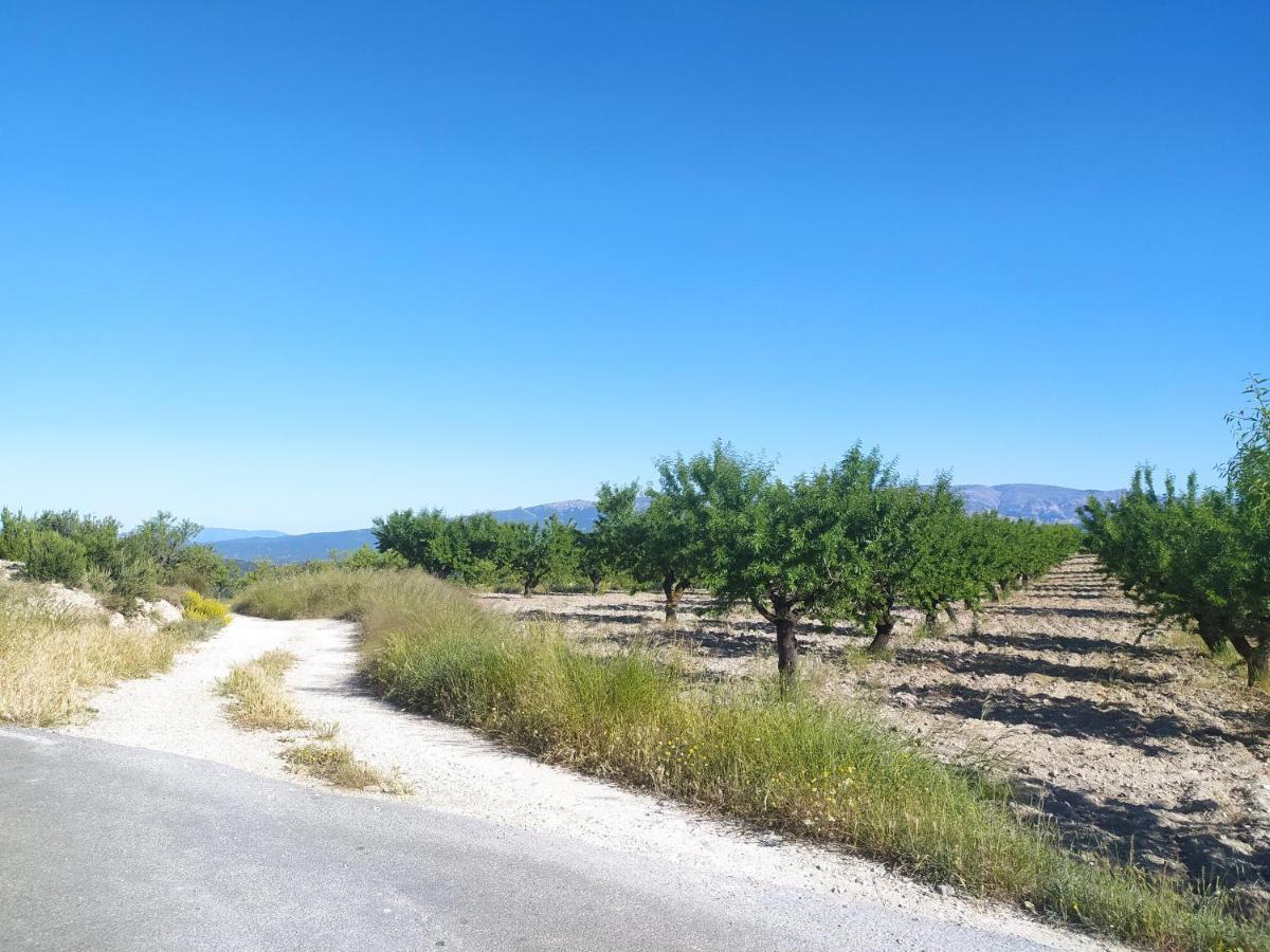 Ucenda Habitaciones En Finca Olivo Y Almendro المظهر الخارجي الصورة
